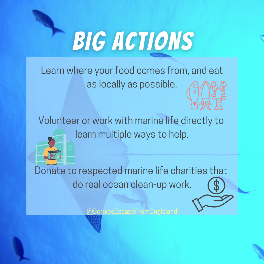 Help Heal the Ocean Jess Harris Books